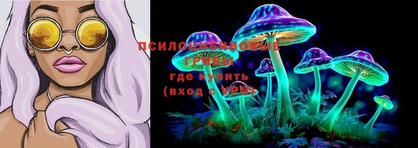 2c-b Абдулино