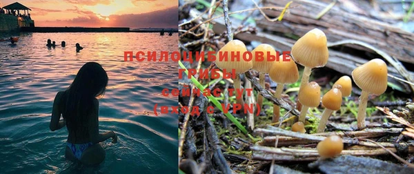 mdpv Семилуки