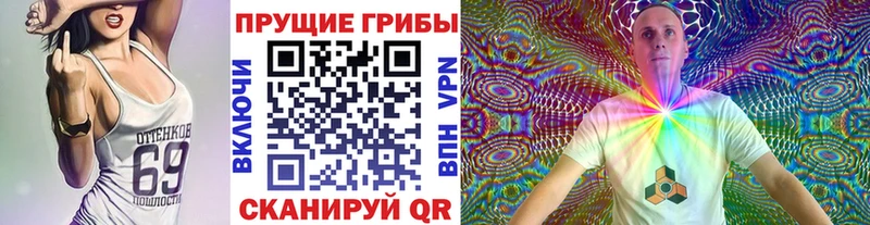 Галлюциногенные грибы GOLDEN TEACHER  Волоколамск 