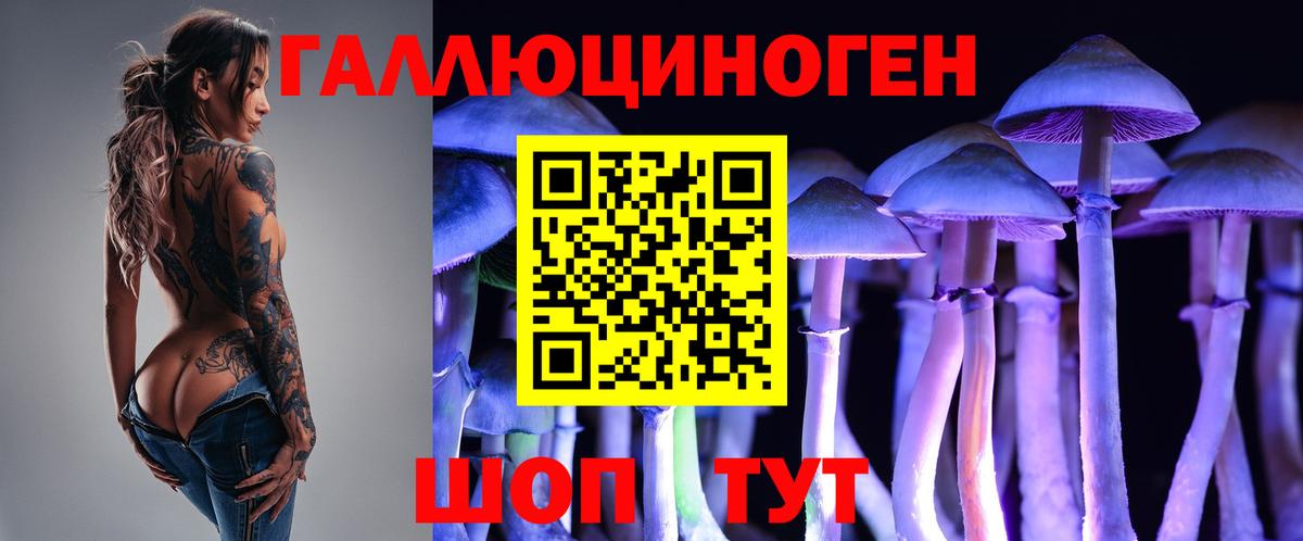 Галлюциногенные грибы мицелий  Псилоцибиновые грибы Cubensis  Вход с VPN  купить наркоту  Волоколамск 