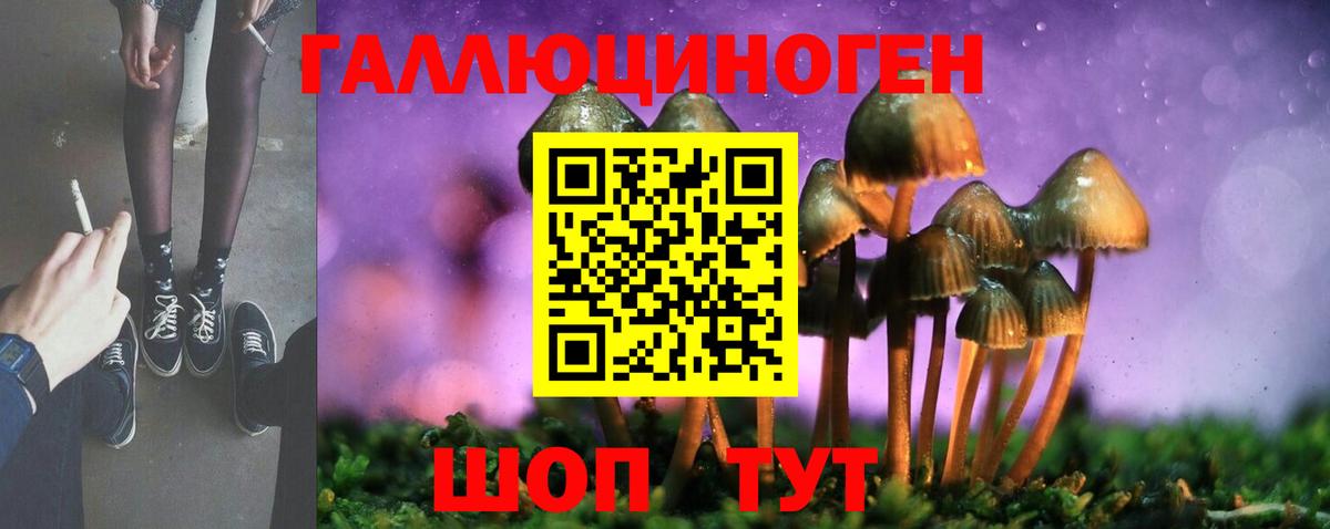 что такое   Вход с VPN  Волоколамск  Псилоцибиновые грибы Cubensis 